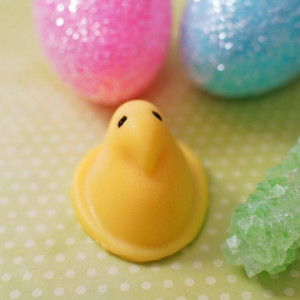Peep Squishy
