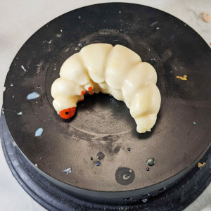 Grubworm Squishy